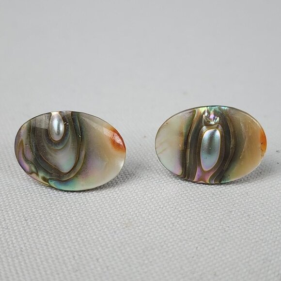 Vintage Abalone Schell Screw Back Earrings - Picture 1 of 5